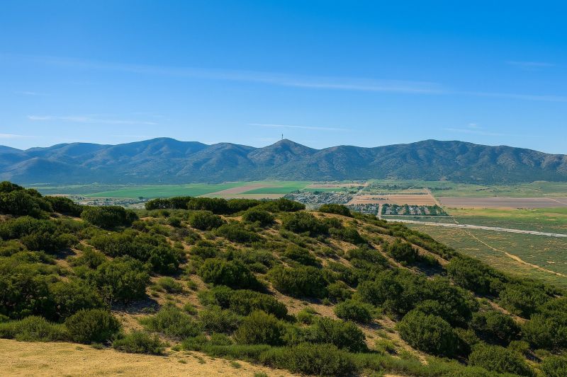 Construction Electrical Wiring in Palmdale, CA