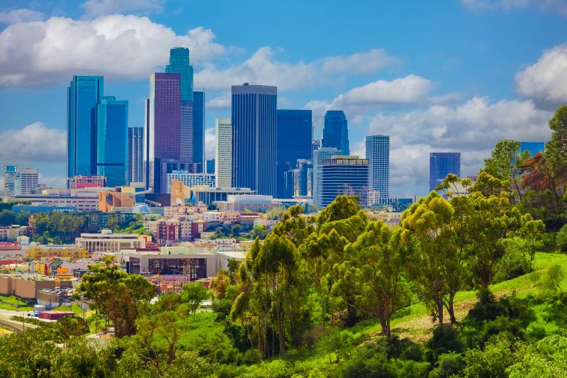 Electrical Renovation in Los Angeles, CA