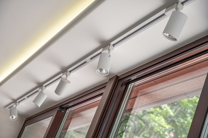 Track Light Replacement in Olathe, KS